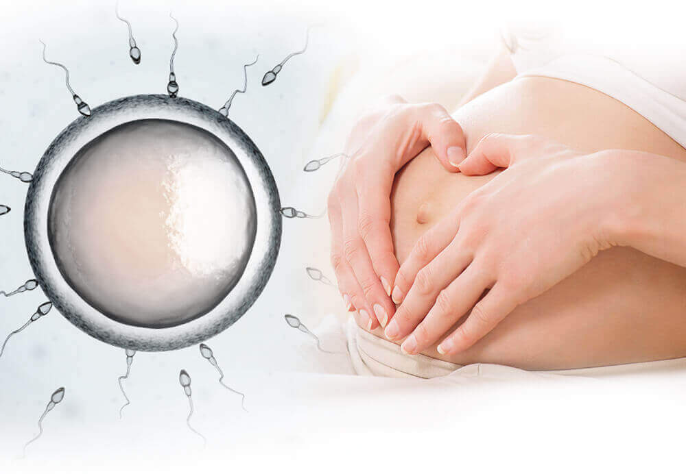 لقاح داخل رحمی (IUI)